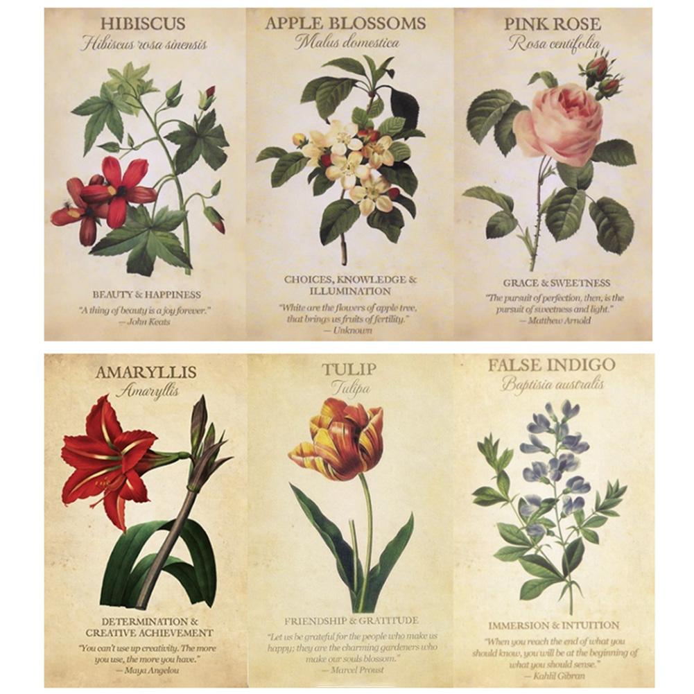 Botanical Inspiration Oracle c - Board Game Inspiration ulasan dan harga